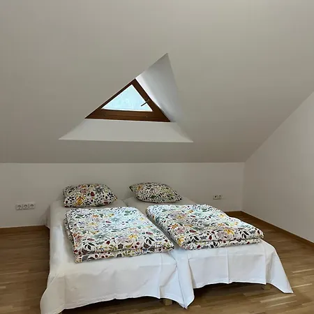 Dom Pod Lesom V Borinke Tatil Evi *